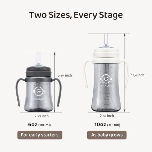 Spill Proof Sippy Cup With Straw & Handle
