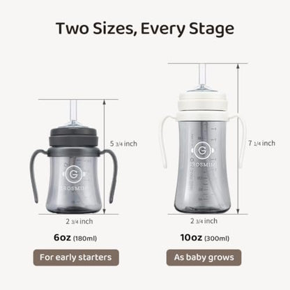 Spill Proof Sippy Cup With Straw & Handle