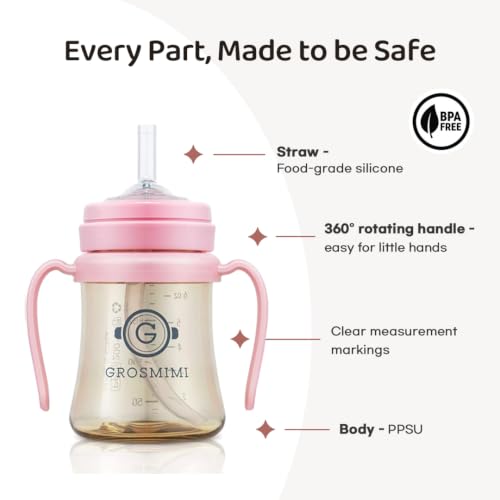Spill Proof Sippy Cup With Straw & Handle